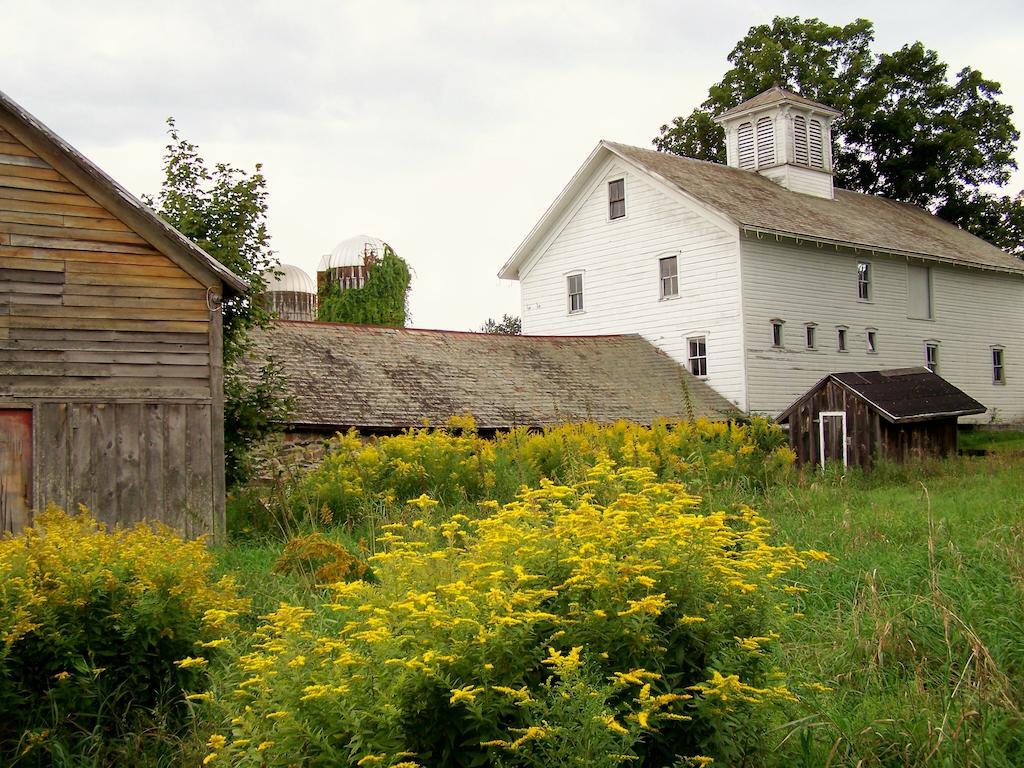 Saratoga Farmstead B&B Саратога-Спрінгс Екстер'єр фото