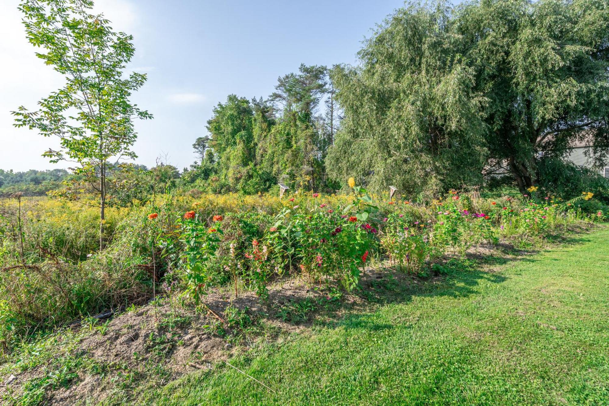 Saratoga Farmstead B&B Саратога-Спрінгс Екстер'єр фото
